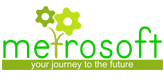 Metrosoft Hosting